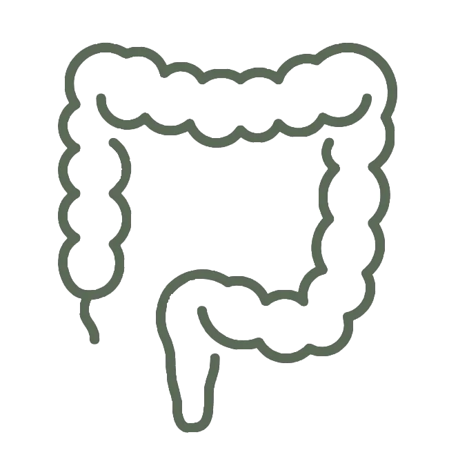 Gastrointestinal & Colorectal